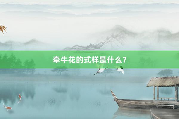 牵牛花的式样是什么？
