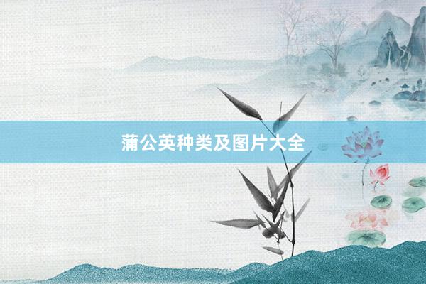 蒲公英种类及图片大全